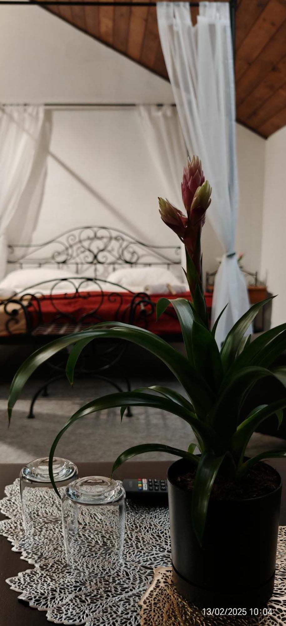 Hotel Plzensky Dvur Frýdek-Místek Exteriör bild